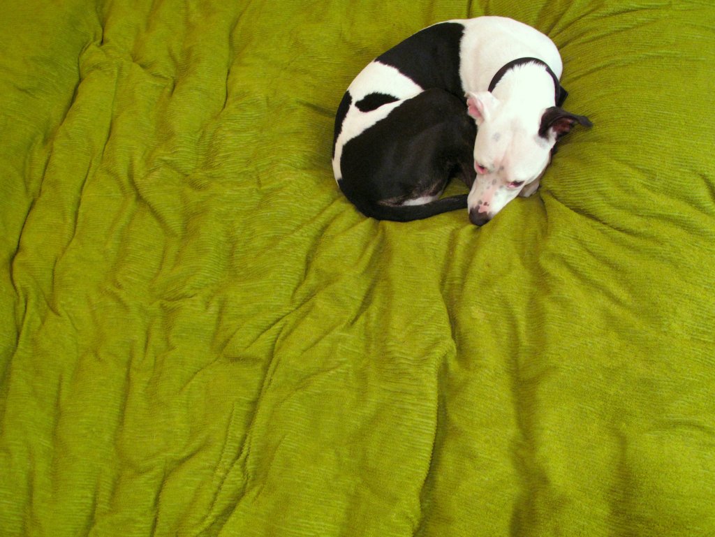 Sudden Fiction: Crossroads