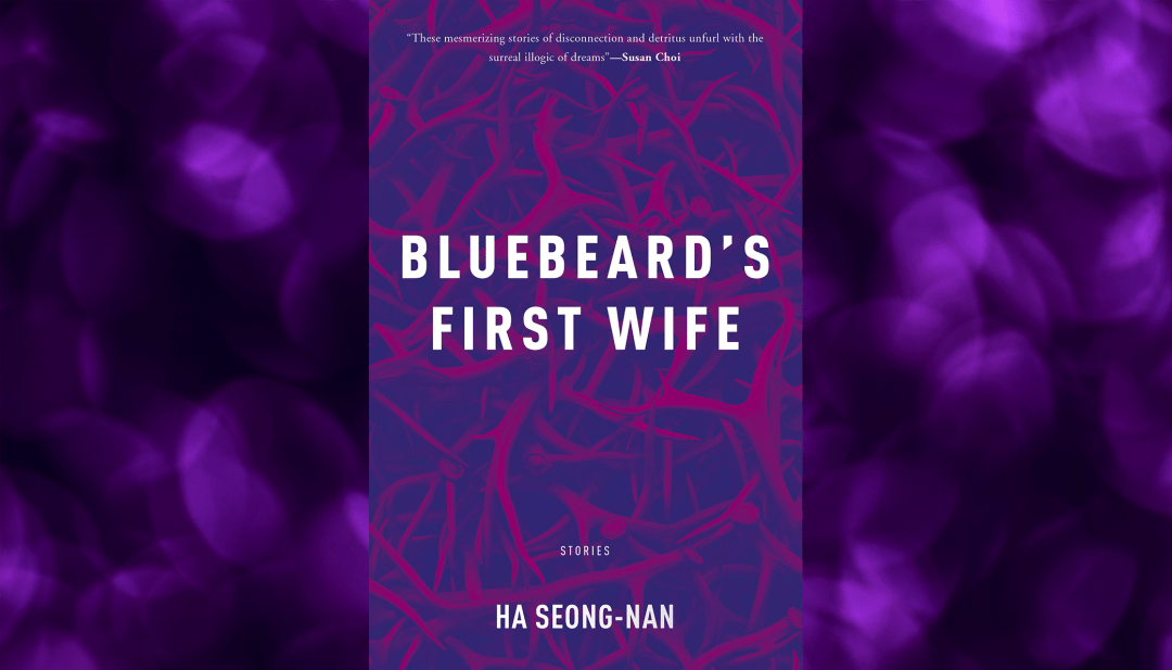 Everyday Fairytales Review of Bluebeard’s First Wife by Seongnan Ha
