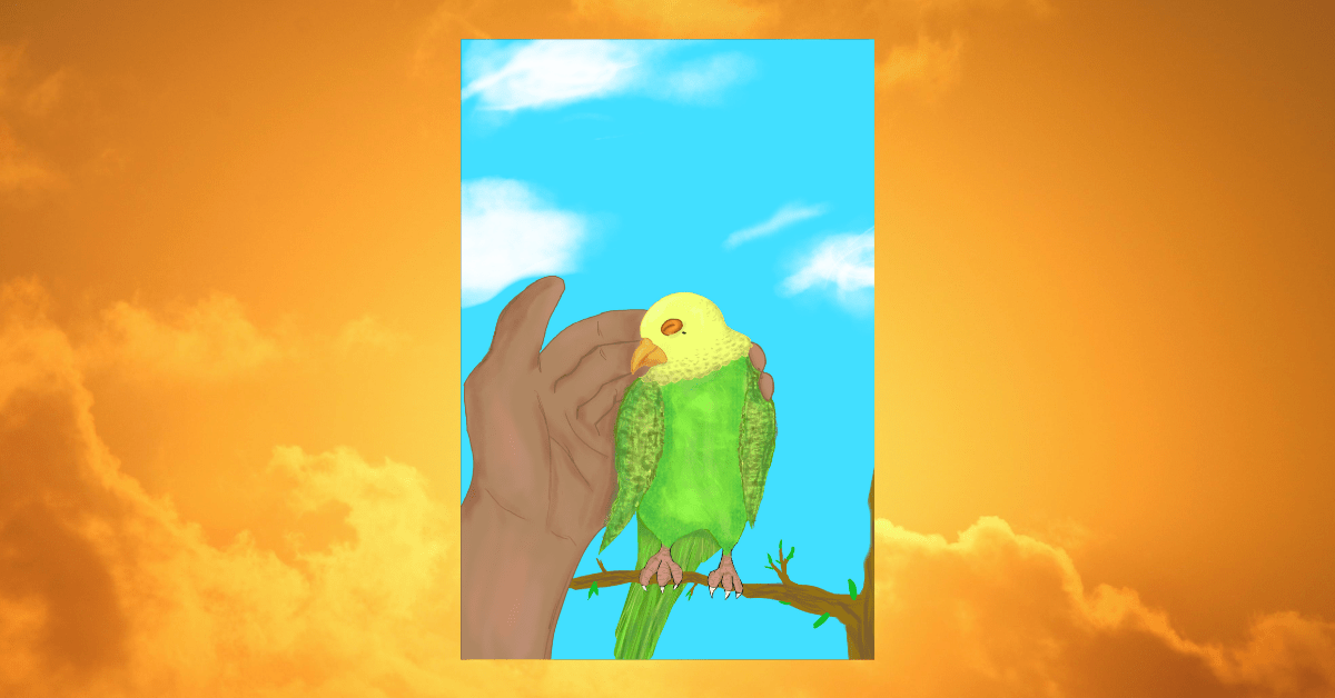 The Parakeet